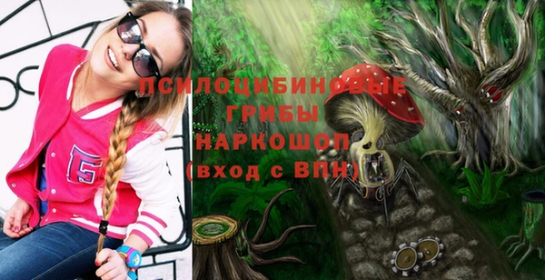 бошки Бугульма